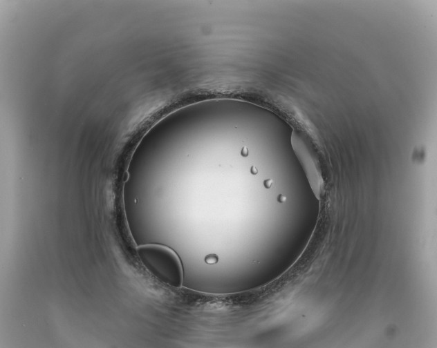 X0000092010635200709131535