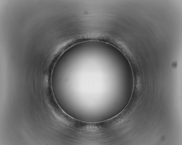 X0000092010636200709131535