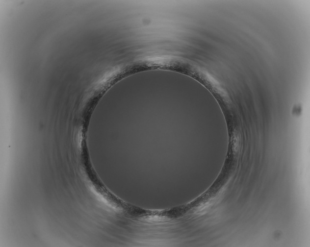 X0000092010637200709131535
