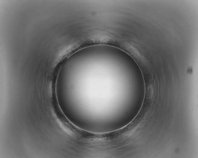 X0000092010638200709131535