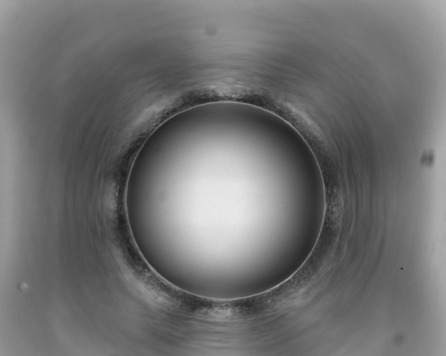 X0000092010639200709131535