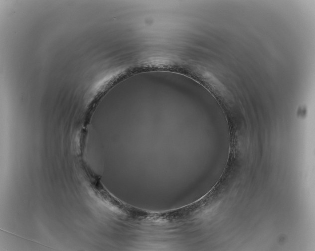 X0000092010640200709131535