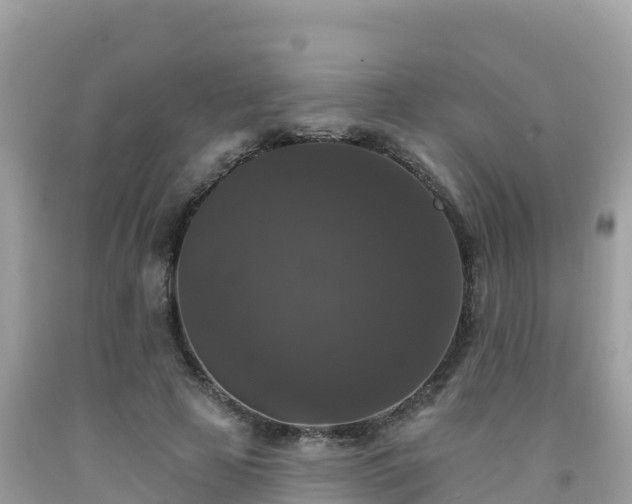 X0000092010641200709131535