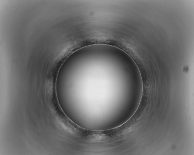 X0000092010642200709131535