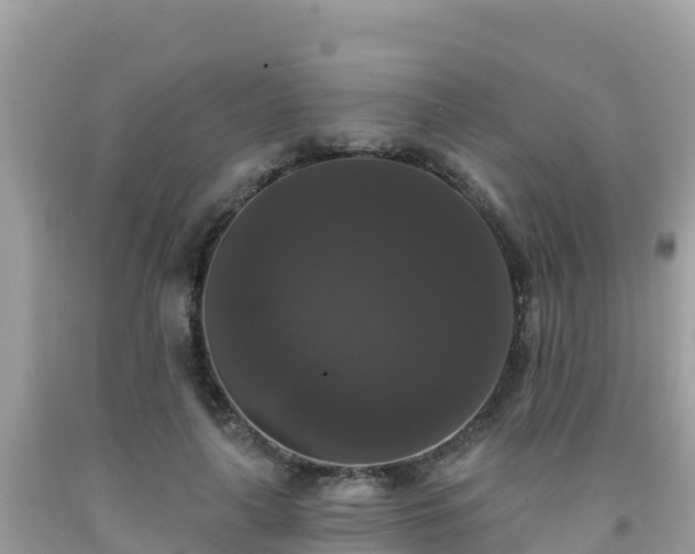 X0000092010643200709131535