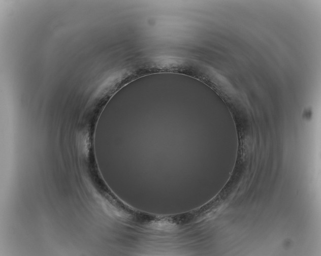 X0000092010644200709131535