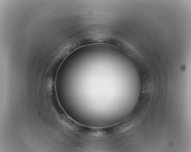 X0000092010646200709131535