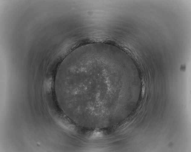X0000092010647200709131535