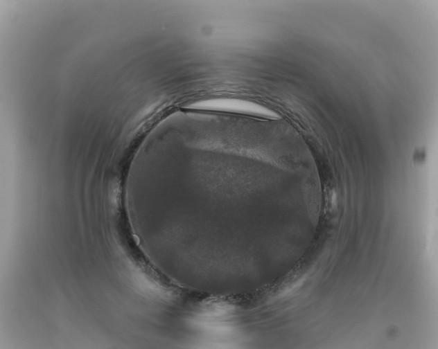 X0000092010648200709131535