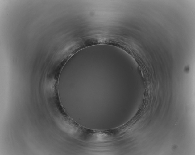 X0000092010650200709131535
