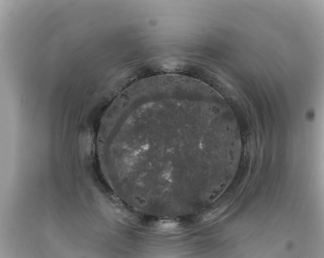 X0000092010651200709131535