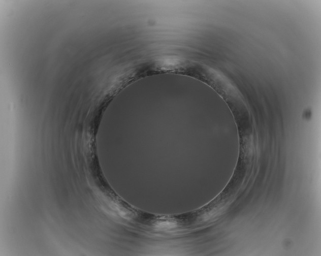 X0000092010653200709131535