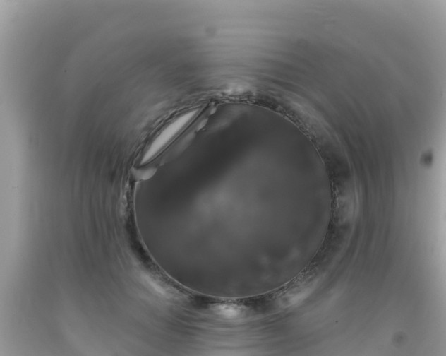 X0000092010654200709131535