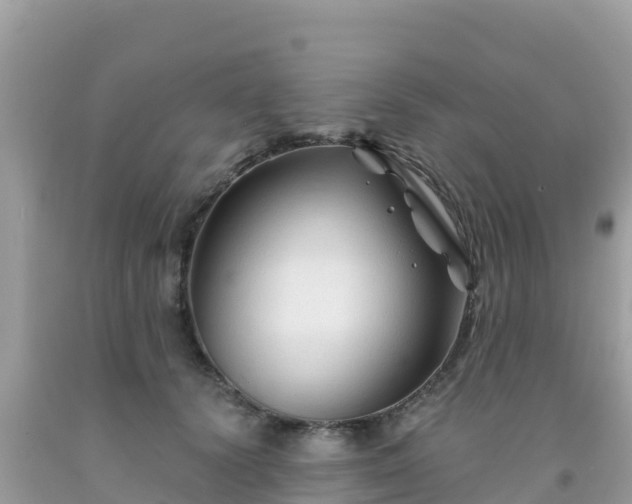 X0000092010656200709131536
