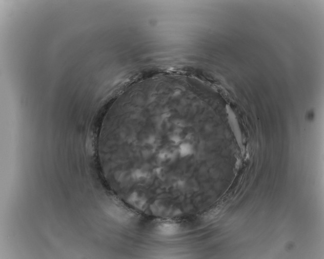 X0000092010658200709131536