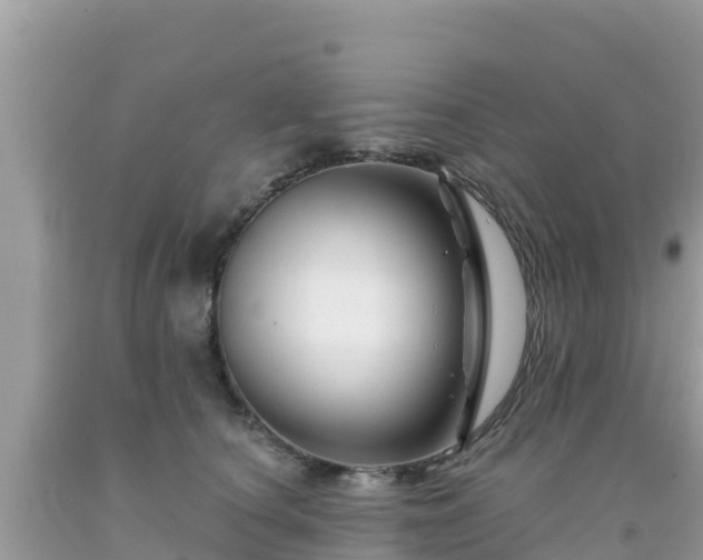 X0000092010660200709131536