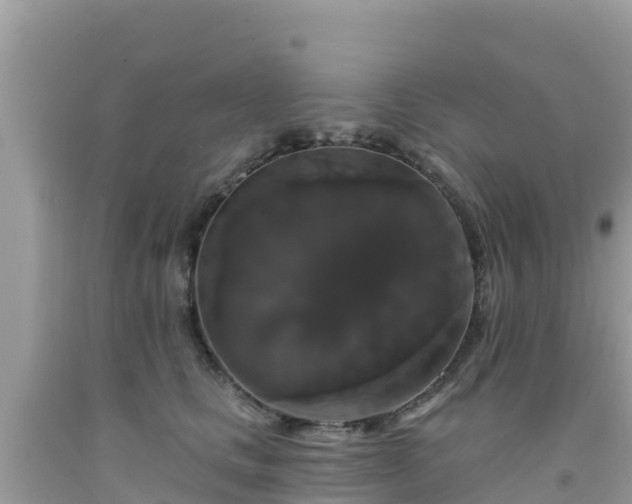 X0000092010661200709131536