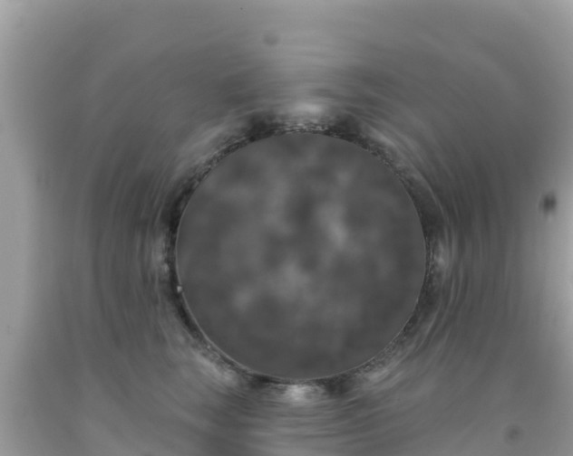 X0000092010663200709131536