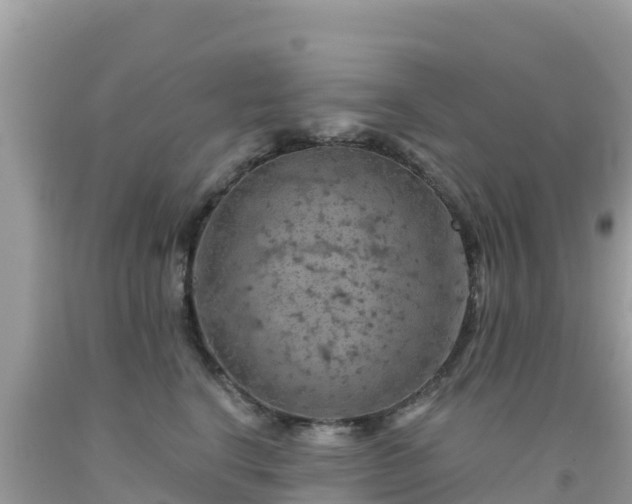 X0000092010664200709131536
