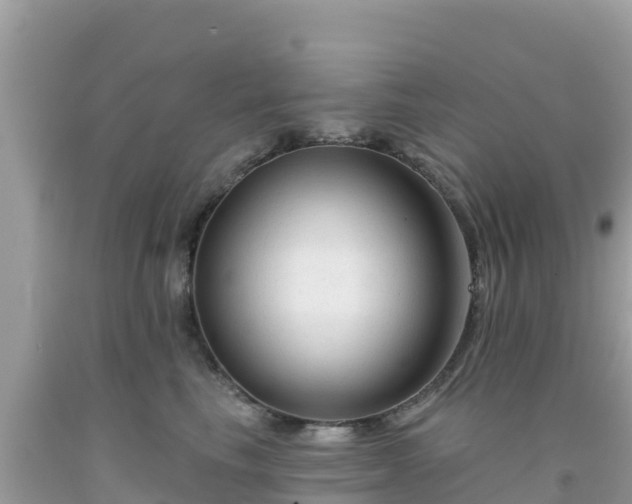 X0000092010665200709131536