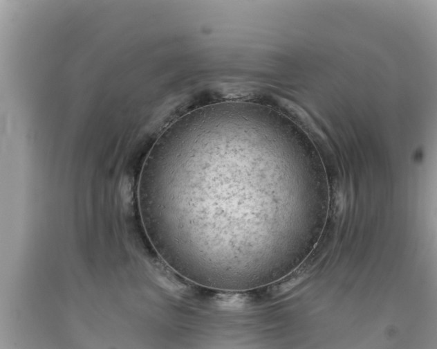 X0000092010667200709131536