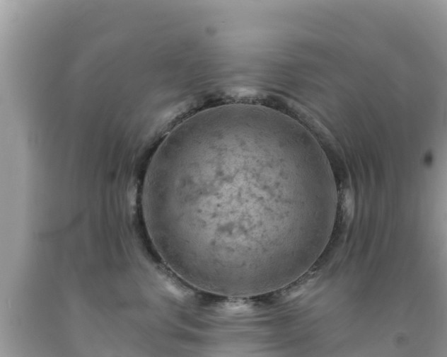 X0000092010668200709131536