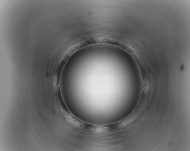 X0000092010670200709131536