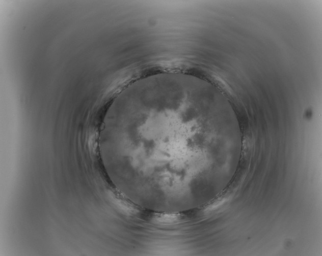 X0000092010671200709131536