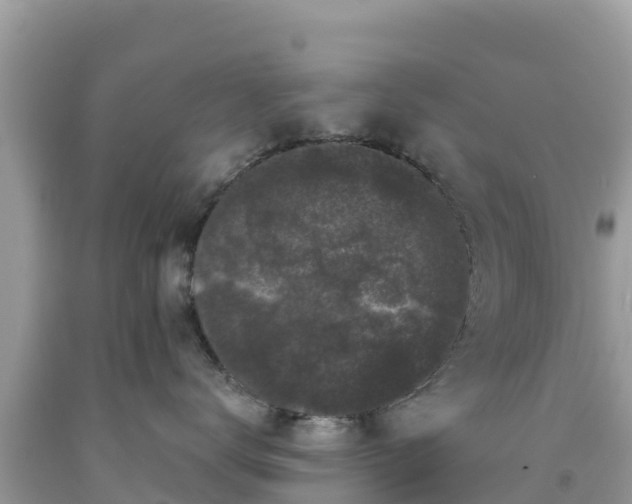 X0000092010672200709131536