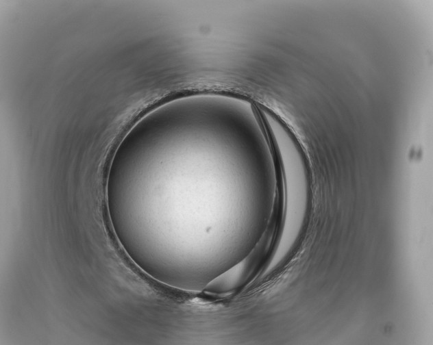 X0000092010673200709131535