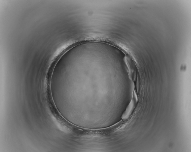 X0000092010674200709131535