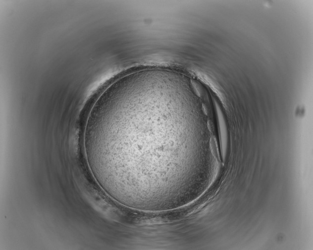 X0000092010675200709131535