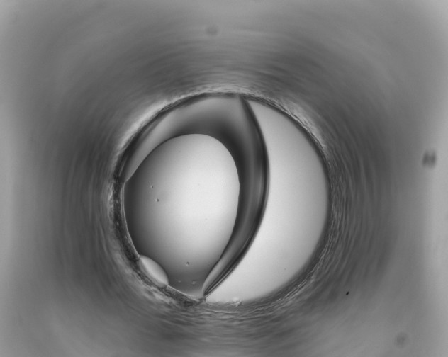 X0000092010676200709131535