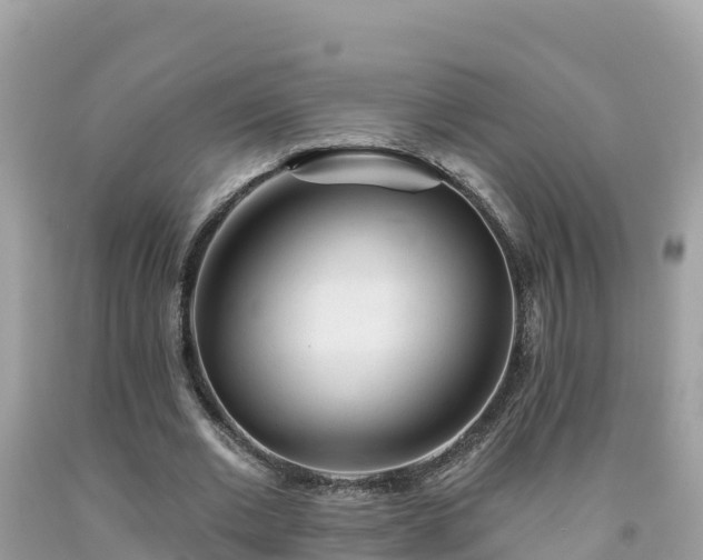 X0000092010677200709131535