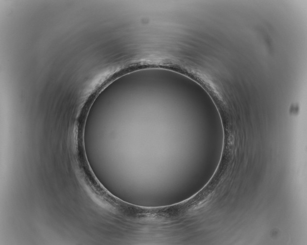 X0000092010678200709131535