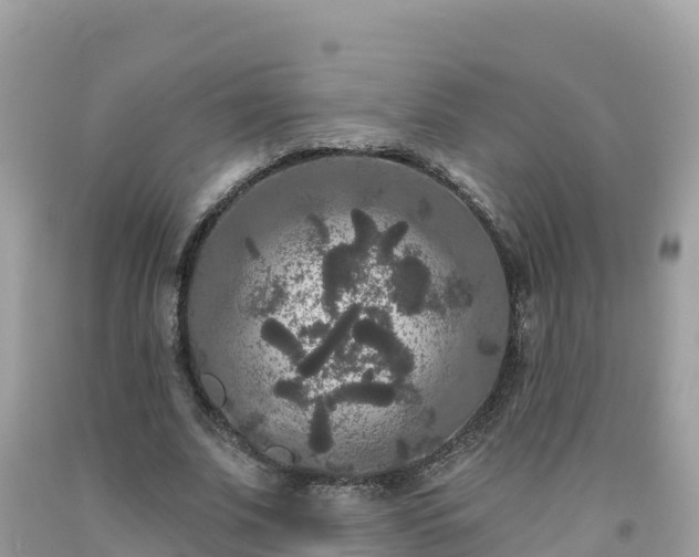 X0000092010679200709131535