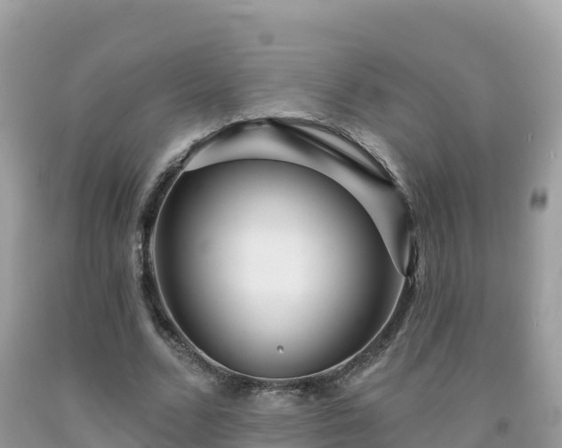 X0000092010680200709131535