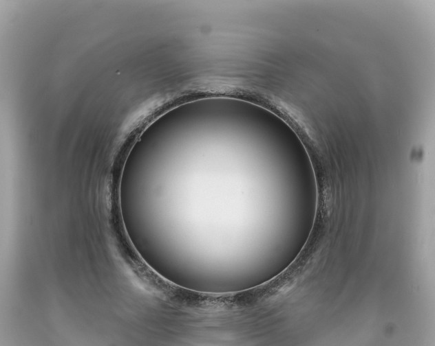 X0000092010682200709131535