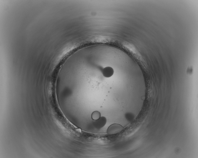 X0000092010683200709131535