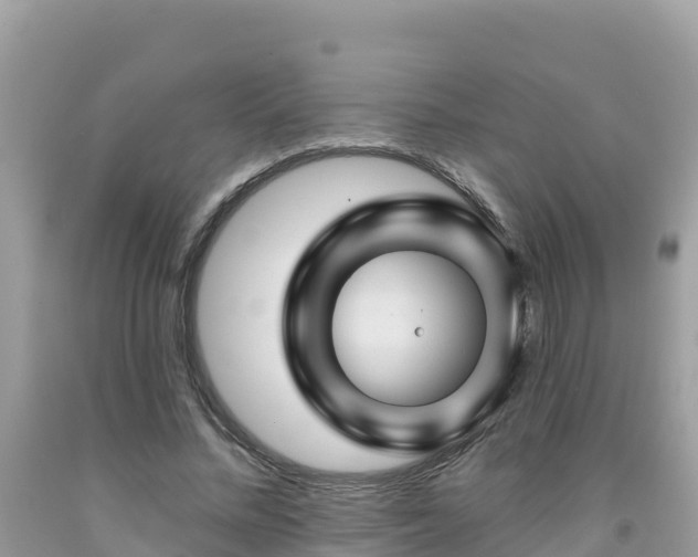 X0000092010684200709131535