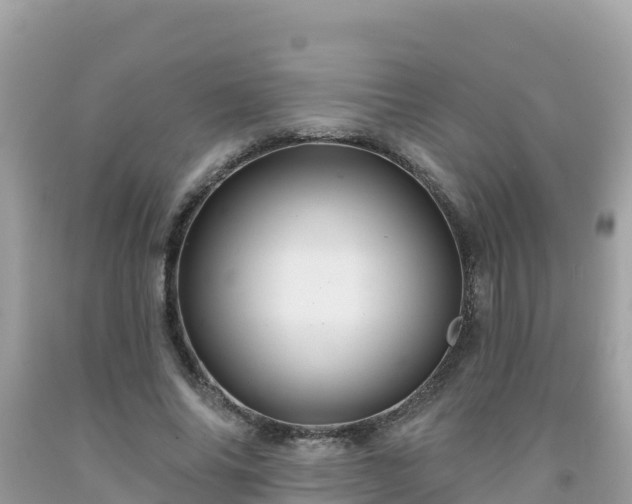X0000092010686200709131535