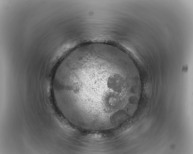 X0000092010687200709131535