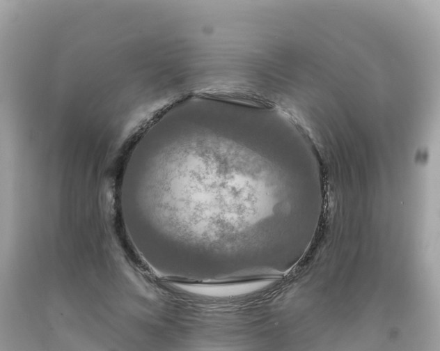 X0000092010688200709131535