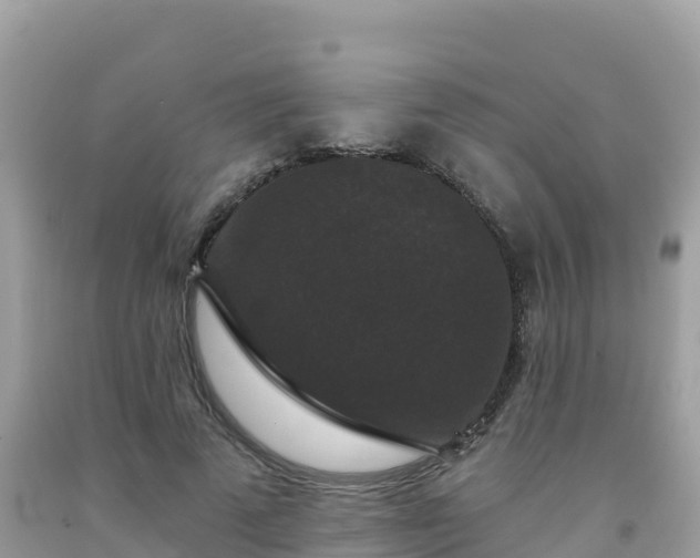X0000092010689200709131535
