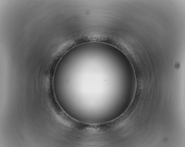 X0000092010690200709131535