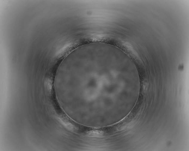 X0000092010691200709131535