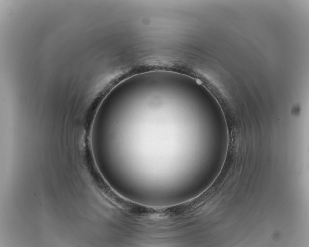 X0000092010692200709131535