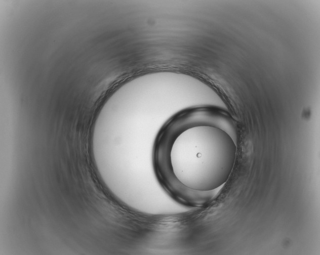 X0000092010693200709131535