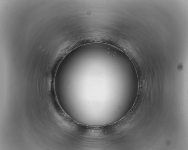 X0000092010694200709131535