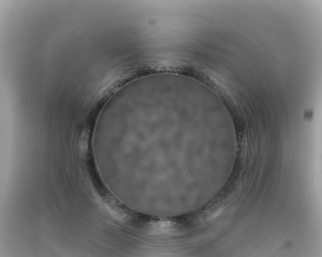 X0000092010695200709131535